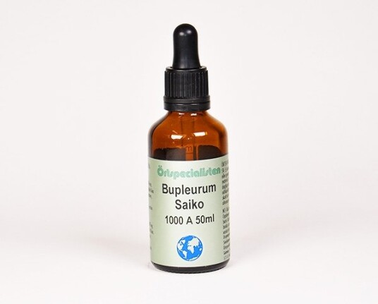 BUPLEURUM BUPLEURUM