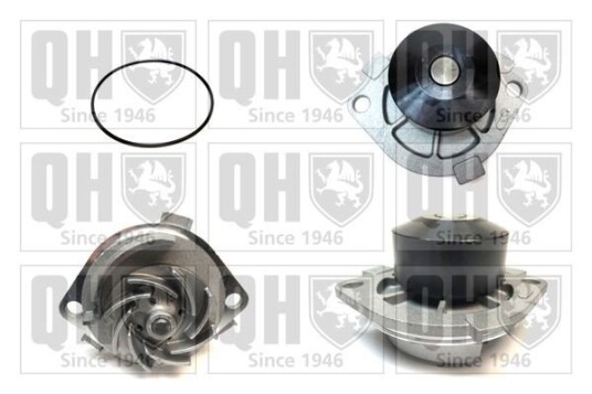 QUINTON HAZELL QCP3218 Vannpumpe QUINTON HAZELL QCP3218 Vannpumpe