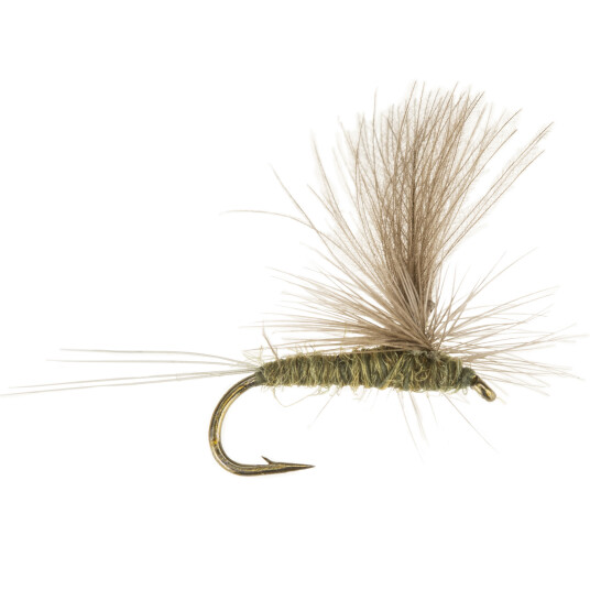 Umpqua Baetis medium olive 16 oneSize none Umpqua Baetis medium olive 16 oneSize none
