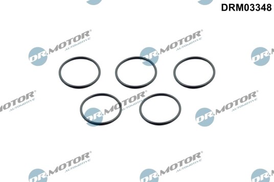 Tetningsring, laseluftslange DR.MOTOR AUTOMOTIVE DRM03348