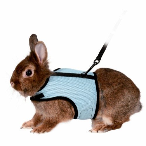 Kattinorge Marsvin-kanin-Smådyr-Kattesele soft med line 25-32cm