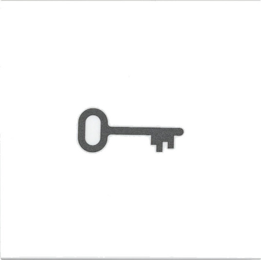 SG Bryterknapp Symbol Nøkkel Hvit