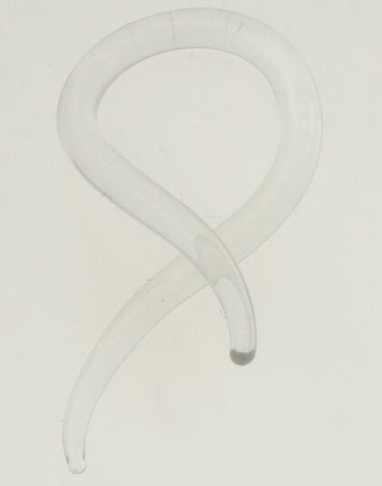 Utgått Loop Pyrex Gennomsiktig Piercing 25 mm