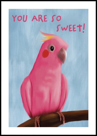 Sweet Pink Galah Plakat / 21x30