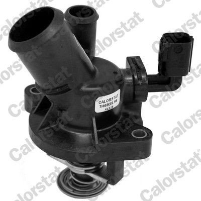 Termostat CALORSTAT by Vernet TE6939.98J