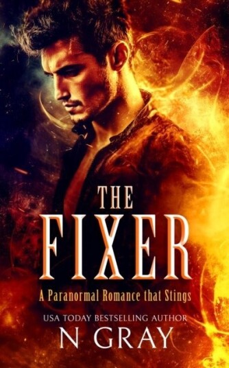 The Fixer The Fixer