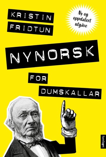 Nynorsk For Dumskallar Av Kristin Fridtun