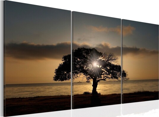 Bilde Extraordinary Nature 120x60 Artgeist sp. z o. o.
