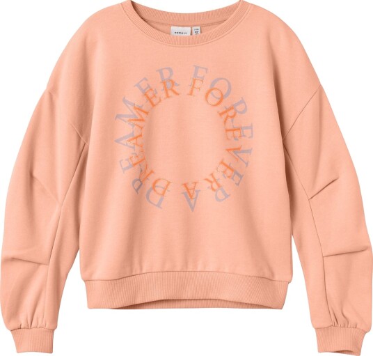 Name It Nkfptaround Ls Sweat Bru Coral 158 164