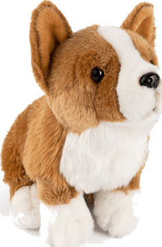 Corgi Hund Kosedyr | Living Nature Corgi Hund Kosedyr | Living Nature
