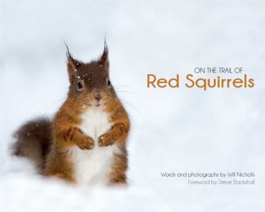 On The Trail Of Red Squirrels Av Will Nicholls