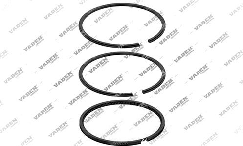 VADEN 881 202 Stempelringsett