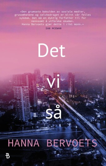 Det vi så av Hanna Bervoets