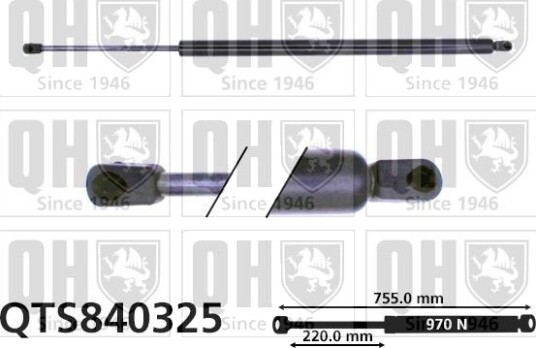 QUINTON HAZELL QTS840325 Baklukedemper