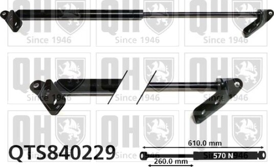QUINTON HAZELL QTS840229 Baklukedemper