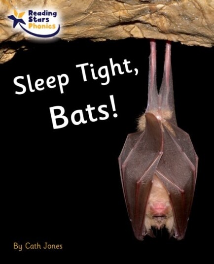 Sleep Tight Bats! Phase 4 Sleep Tight Bats! Phase 4