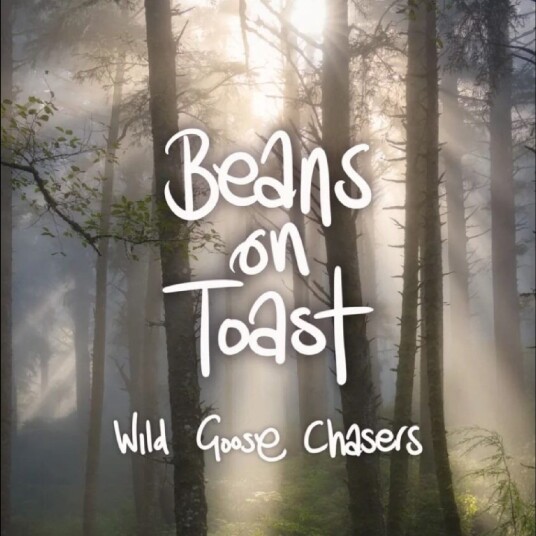 Beans On Toast  Wild Goose Chasers  LP/Vinyl