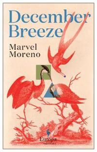 December Breeze Av Marvel Moreno December Breeze Av Marvel Moreno
