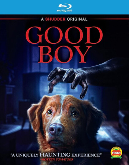 Good Boy 2025 Bluray