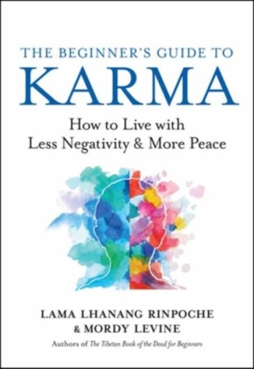 The Beginner¿s Guide to Karma The Beginner¿s Guide to Karma