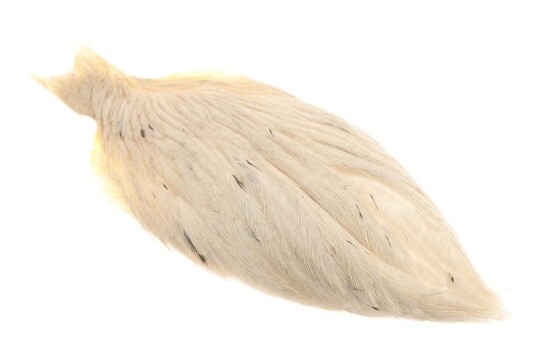 Whiting American Hen Neck Whiting American Hen Neck