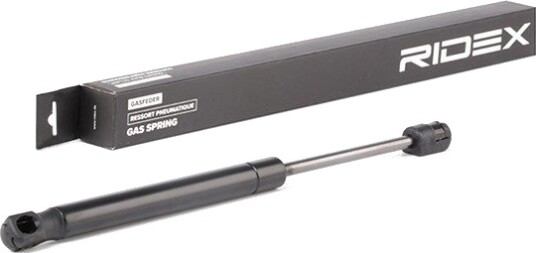RIDEX 219G0928 Baklukedemper