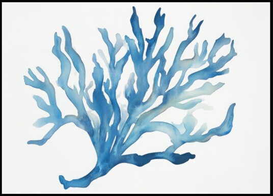 Blue Coral Plakat / 21x30 Blue Coral Plakat / 21x30