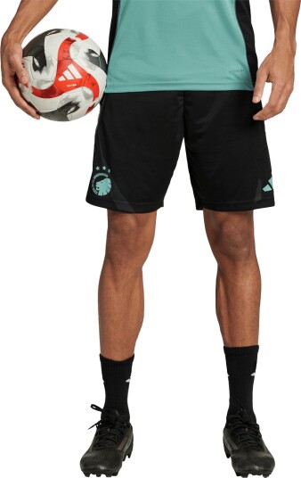 FC Copenhagen Treningsshorts Svart XL