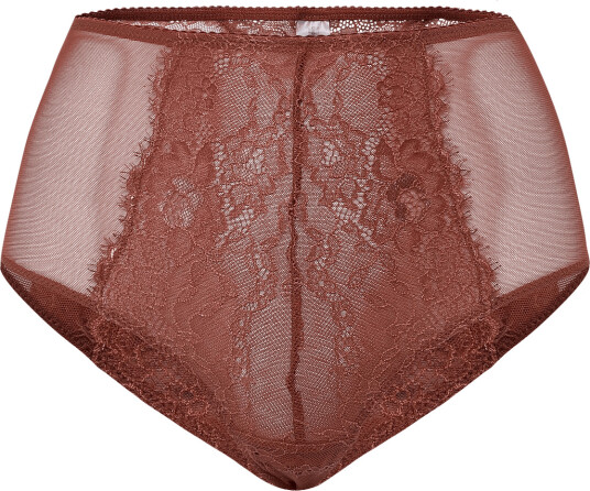 Understatement Underwear Lace Mesh Highwaist Briefs   Brown   M
