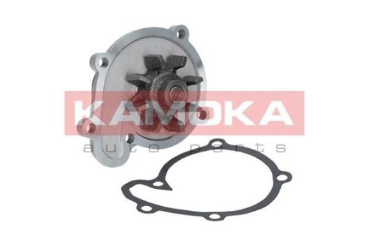 Vannpumpe KAMOKA T0217