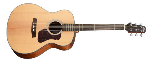 Walden G551ew
