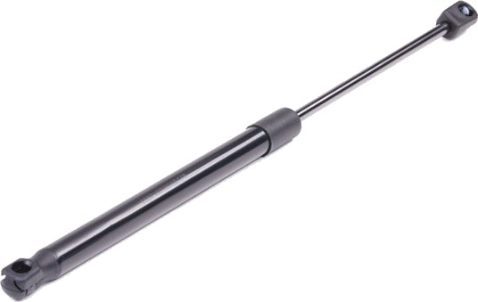 RIDEX 219G0086 Baklukedemper