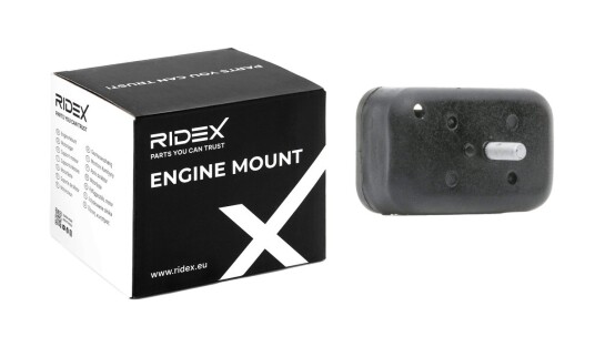 Motorfeste RIDEX 247E0713