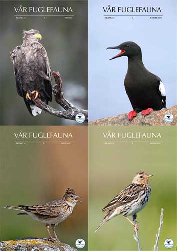 Norsk Ornitologisk Forening Vår Fuglefauna   2010  hele årgang 33