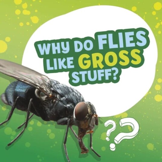 Why Do Flies Like Gross Stuff? Av Ellen Labrecque