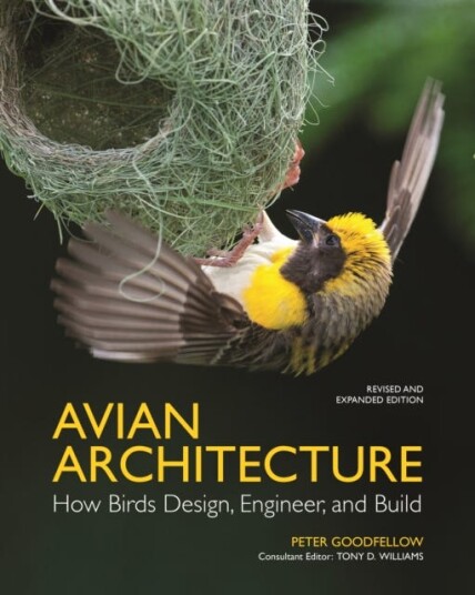 Avian Architecture Revised And Expanded Edition Av Peter Goodfellow Avian Architecture Revised And Expanded Edition Av Peter Goodfellow