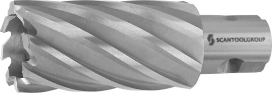Sluttfreser 31x30mm - SCANTOOL