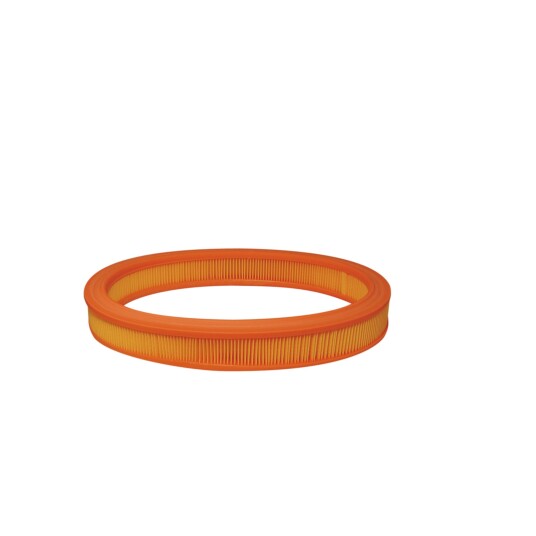 Luftfilter FILTRON AE 250 Luftfilter FILTRON AE 250