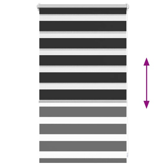 vidaXL Zebra Rullegardin 50 x 100 cm Svart