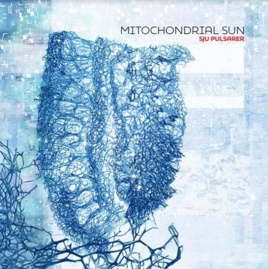 Mitochondrial Sun Sju Pulsarer CD