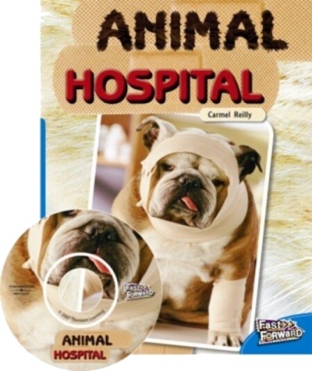 Animal Hospital Animal Hospital