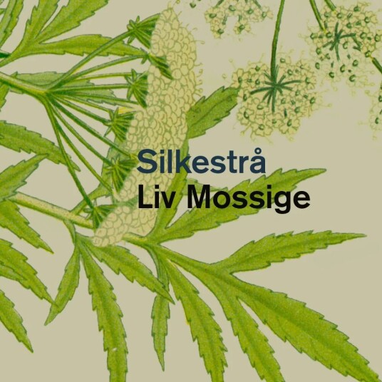 Silkestrå Av Liv Johanne Mossige