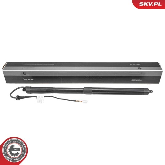 Elektromotor bakluke ESEN SKV 52SKV216