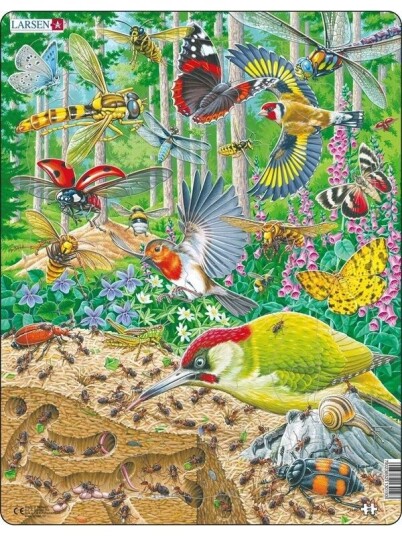 Larsen Puzzles Bustling life on the forest floor Larsen Puzzles Bustling life on the forest floor