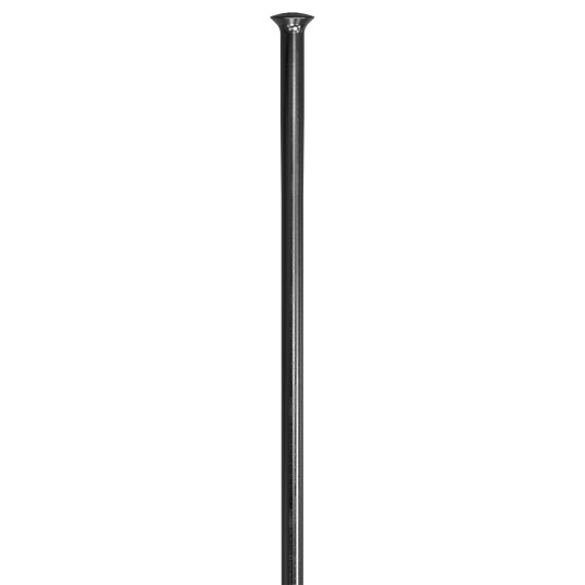 DT Swiss Champion Eiker 2,00mm Straight Pull Svart