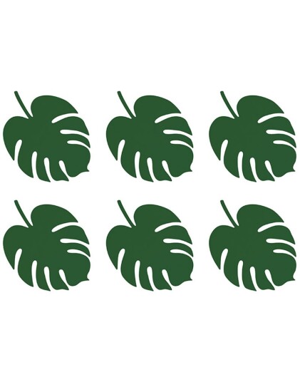 6 stk Monstera Blader 14 cm Aloha Tropical