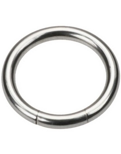 Utgått Silver Segment Ring