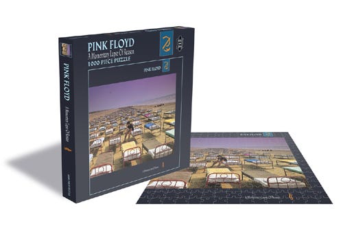 A Momentary Lapse Of Reason  Puzzle