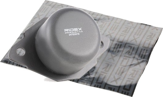 RIDEX 247E0019 Motorfeste