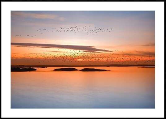 By sunset Plakat Plakat / 40x50cm
